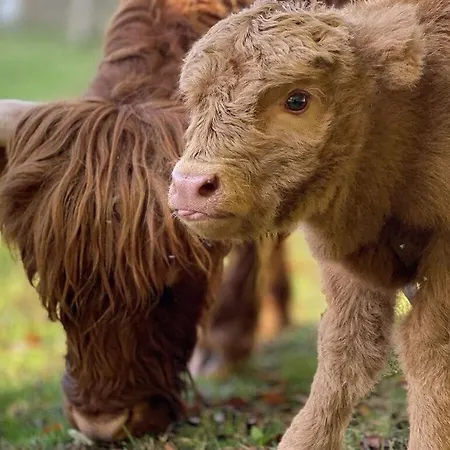 Boswachtershuis Goed Malberg Ober-Waroldern