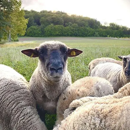 بيت للعطل Boswachtershuis Goed Malberg Ober-Waroldern