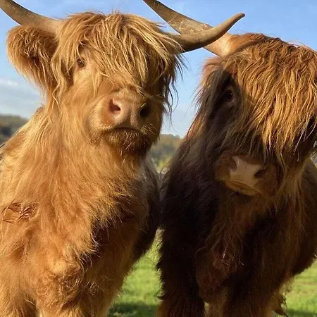 Boswachtershuis Goed Malberg بيت للعطل Ober-Waroldern