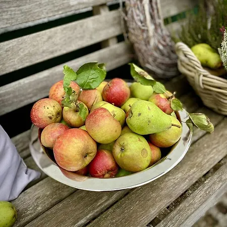 بيت للعطل Boswachtershuis Goed Malberg *
