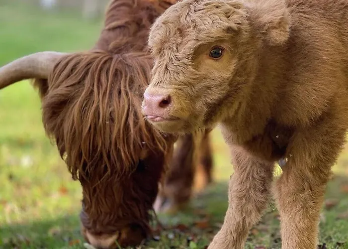 Boswachtershuis Goed Malberg Ober-Waroldern