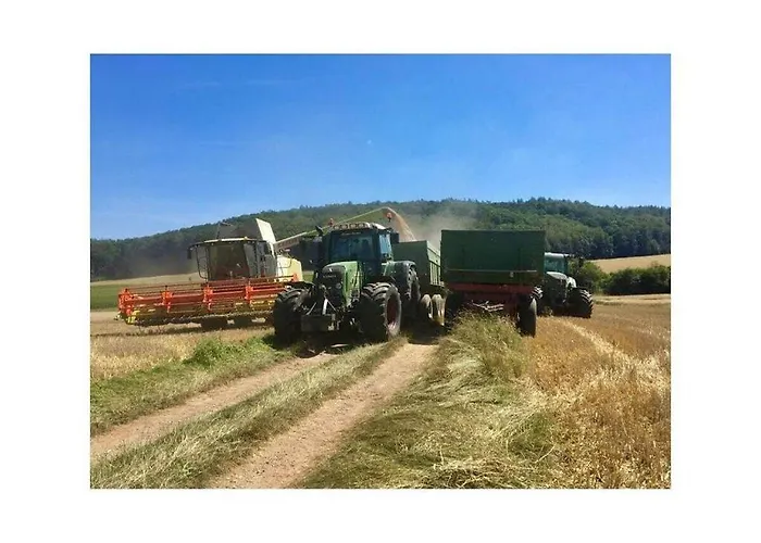 בית נופש Boswachtershuis Goed Malberg