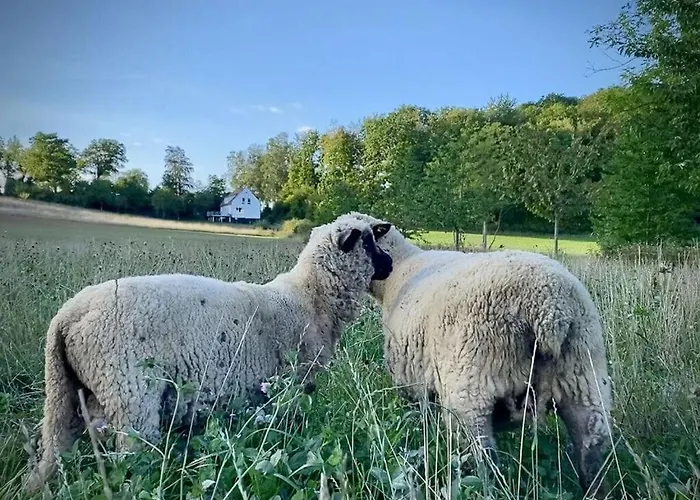 Boswachtershuis Goed Malberg * Ober-Waroldern