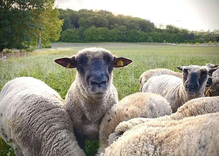 בית נופש Boswachtershuis Goed Malberg Ober-Waroldern