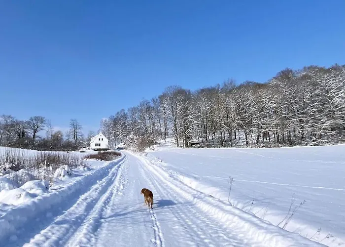 בית נופש Boswachtershuis Goed Malberg *