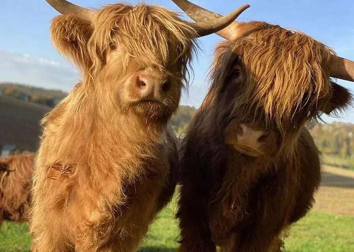 Boswachtershuis Goed Malberg בית נופש Ober-Waroldern